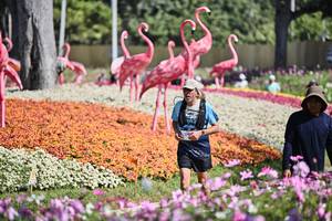 BIB: 
                            <button type="button" onclick="openModal(27793467)" class="btn btn-primary btn-sm float-right btn-popup" data-toggle="modal" data-target=".modal-high-quality">
                        <i class="fas fa-shopping-cart"></i> Add to Cart
                    </button>
                                            <button type="button" onclick="isThisMe(27793467, true)" class="btn btn-success btn-sm float-right btn-popup btn-isme hidden" data-toggle="tooltip" data-placement="bottom" title="นี่คือรูปของคุณใช่ไหม คลิกที่นี่เพื่อเอาเข้าอัลบั้ม">
                        <i class="fas fa-plus"></i> Add to album
                    </button>
                    <button type="button" onclick="isThisMe(27793467, false)" class="btn btn-warning btn-sm float-right btn-popup btn-isnotme hidden">
                        <i class="fas fa-ban"></i> Remove from album
                    </button>